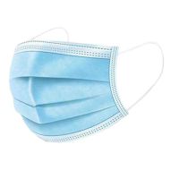 Disposable Face Mask 1SZ - 25 Pack