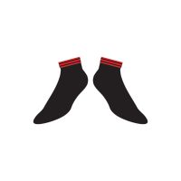 Accessories Socks Ankle Sock