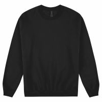 Softstyle Adult Sweatshirt