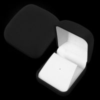 GP10 Black Velvet Pin Box