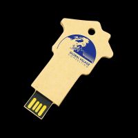 HDP House Key Drive