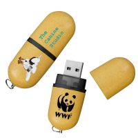 HDP USB Pill Drive