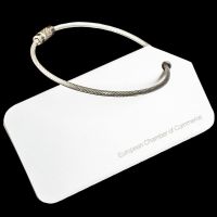 Brushed Steel Luggage Tag