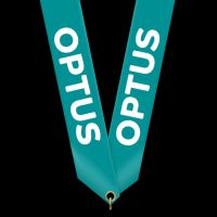 Medallion Ribbon